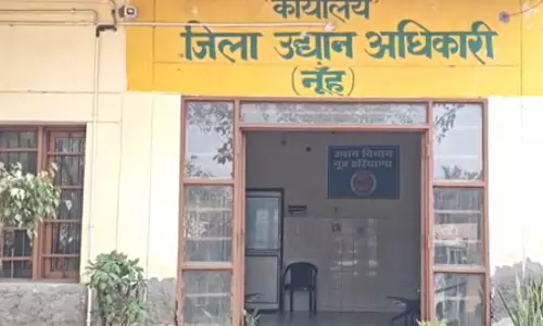 बेरोजगार युवाओं और भूमिहीन किसानों के लिए आय का साधन बना मधुमक्खी पालन बेरोजगार युवाओं और भूमिहीन किसानों के लिए आय का साधन बना मधुमक्खी पालन