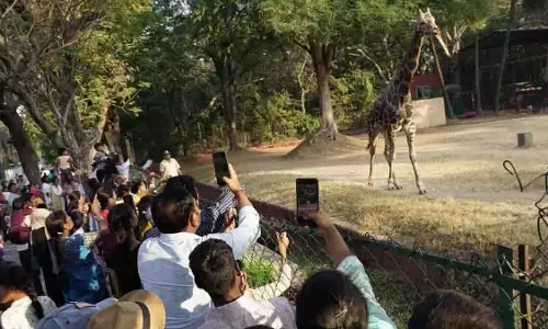 क्रिसमस की छुट्टियों के दौरान Hyderabad चिड़ियाघर में 1 लाख से ज़्यादा लोग आए क्रिसमस की छुट्टियों के दौरान Hyderabad चिड़ियाघर में 1 लाख से ज़्यादा लोग आए