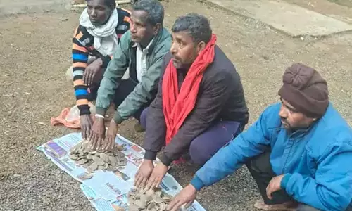 पेंगोलिन शल्क तस्करी में चार आरोपी गिरफ्तार, वन्यजीव संरक्षण में बड़ी सफलता पेंगोलिन शल्क तस्करी में चार आरोपी गिरफ्तार, वन्यजीव संरक्षण में बड़ी सफलता