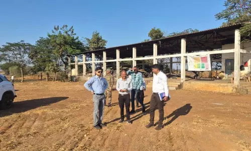खरीफ विपणन वर्ष 2025-26 के लिए धान संग्रहण केंद्रों की तैयारी का कलेक्टर ने किया निरीक्षण खरीफ विपणन वर्ष 2025-26 के लिए धान संग्रहण केंद्रों की तैयारी का कलेक्टर ने किया निरीक्षण