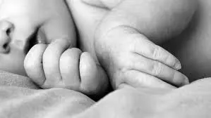 Nagpur :8 माह की बच्ची को उठा ले गया जानवर, शव मिलने से हड़कंप Nagpur :8 माह की बच्ची को उठा ले गया जानवर, शव मिलने से हड़कंप