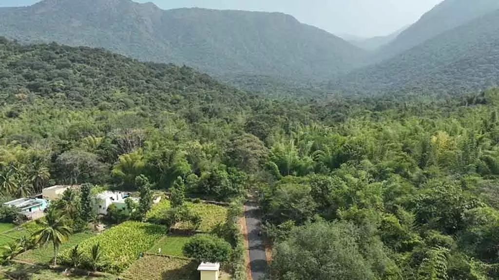 Tamil Nadu : डेनिशपेट में शानदार लाइमस्टोन इको-टूरिज्म Tamil Nadu : डेनिशपेट में शानदार लाइमस्टोन इको-टूरिज्म