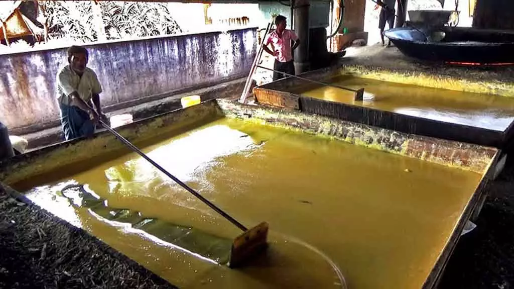 Tamil Nadu: क्या सरकार पोंगल गिफ्ट सेट के लिए गुड़ खरीदेगी? Tamil Nadu: क्या सरकार पोंगल गिफ्ट सेट के लिए गुड़ खरीदेगी?