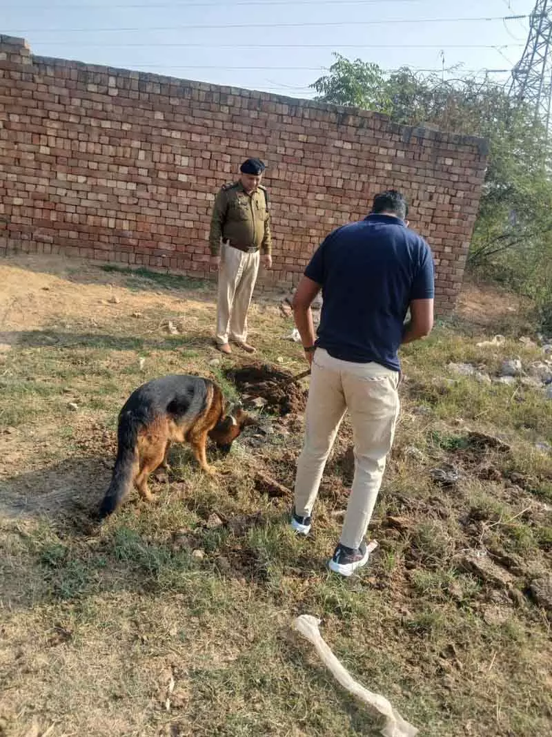 Hisar हांसी में 117 ड्रग तस्कर पकड़े गए, 10 लाख रुपये से ज़्यादा की प्रॉपर्टी ज़ब्त Hisar हांसी में 117 ड्रग तस्कर पकड़े गए, 10 लाख रुपये से ज़्यादा की प्रॉपर्टी ज़ब्त