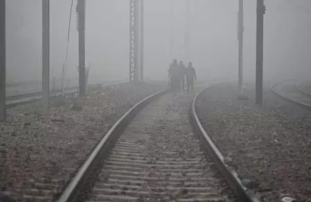 उत्तर भारत में घने कोहरे के कारण फ्लाइट और रेल सेवाएं बाधित उत्तर भारत में घने कोहरे के कारण फ्लाइट और रेल सेवाएं बाधित