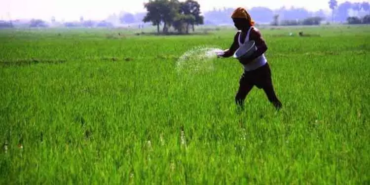 Odisha को डिजिटल फसल सर्वेक्षण और रजिस्ट्री के लिए केंद्र से 155 करोड़ रुपये की राशि मिलेगी Odisha को डिजिटल फसल सर्वेक्षण और रजिस्ट्री के लिए केंद्र से 155 करोड़ रुपये की राशि मिलेगी
