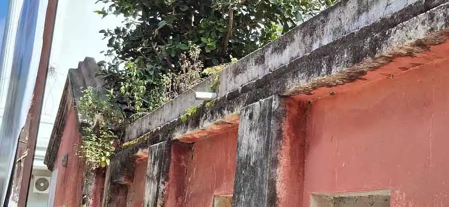 Mulbagal : सरकारी दफ़्तर में उग रही घास-फूस Mulbagal : सरकारी दफ़्तर में उग रही घास-फूस