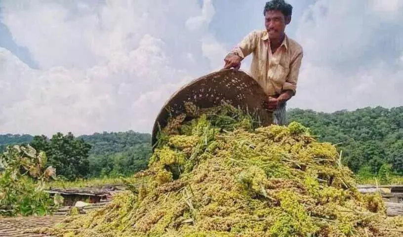 तेलंगाना में किसानों की आत्महत्या में बढ़ोतरी देखी गई: Rythu Swarajya Vedika तेलंगाना में किसानों की आत्महत्या में बढ़ोतरी देखी गई: Rythu Swarajya Vedika