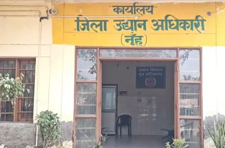 बेरोजगार युवाओं और भूमिहीन किसानों के लिए आय का साधन बना मधुमक्खी पालन बेरोजगार युवाओं और भूमिहीन किसानों के लिए आय का साधन बना मधुमक्खी पालन
