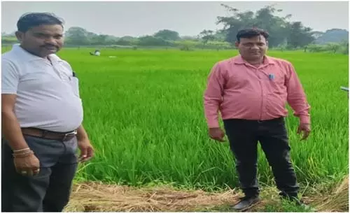 वैज्ञानिक खेती से भूखनलाल सोंचे की आर्थिक स्थिति में आया बड़ा सुधार वैज्ञानिक खेती से भूखनलाल सोंचे की आर्थिक स्थिति में आया बड़ा सुधार