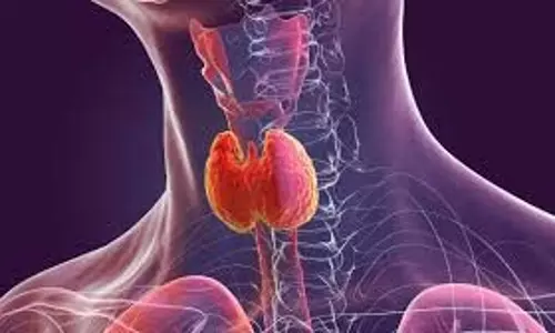 Health:  सर्दियों में थाइरॉइड के मरीजों को भूलकर भी नहीं खानी चाहिए ये चीजें