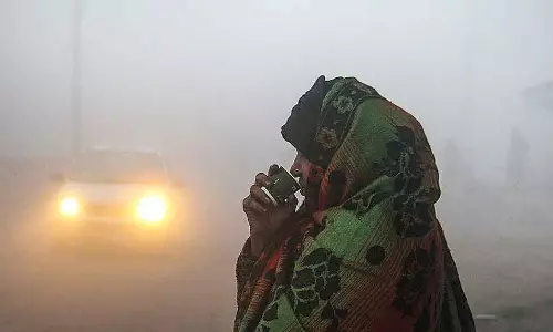 MP : पूरे राज्य में तापमान में भारी गिरावट, भोपाल में 5°C, मंदसौर में 3°C,