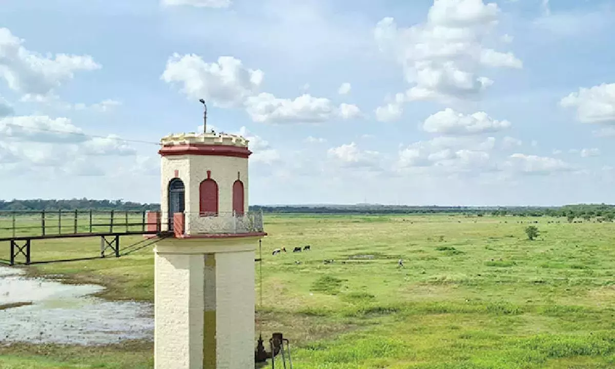 Karnataka: ईश्वर खंड्रे ने हेसरघट्टा के प्राकृतिक घास के मैदान के संरक्षण की मांग की Karnataka: ईश्वर खंड्रे ने हेसरघट्टा के प्राकृतिक घास के मैदान के संरक्षण की मांग की