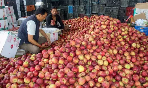 न्यूज़ीलैंड के सेब पर इम्पोर्ट ड्यूटी के फ़ैसले पर फिर से विचार करें: Punjab Speaker न्यूज़ीलैंड के सेब पर इम्पोर्ट ड्यूटी के फ़ैसले पर फिर से विचार करें: Punjab Speaker
