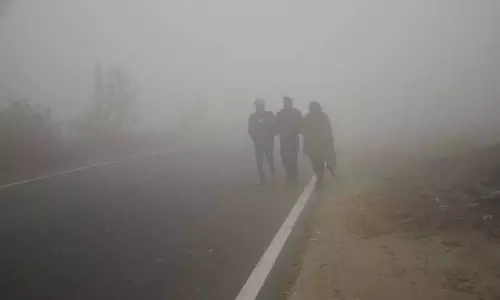 Punjab: घना कोहरा छाया, दिल्ली एयरपोर्ट पर उड़ानें प्रभावित