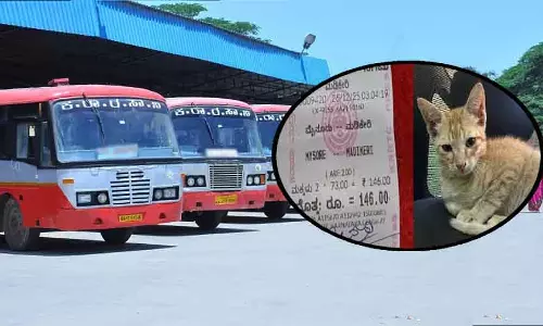 मैसूर से मदिकेरी जाने वाली KSRTC बस में एक बिल्ली को भी टिकट मिल गया मैसूर से मदिकेरी जाने वाली KSRTC बस में एक बिल्ली को भी टिकट मिल गया