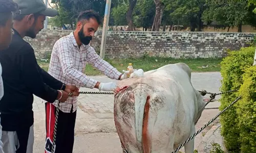 Haryana : वंदे मातरम दल के स्वयंसेवक मसीहा बने Haryana : वंदे मातरम दल के स्वयंसेवक मसीहा बने