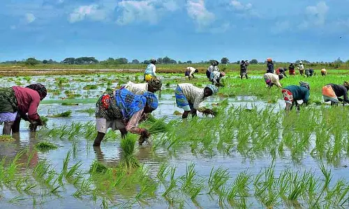 Tamil Nadu: किसानों से फरवरी के आखिर तक मेट्टूर को खुला रखने की अपील Tamil Nadu: किसानों से फरवरी के आखिर तक मेट्टूर को खुला रखने की अपील