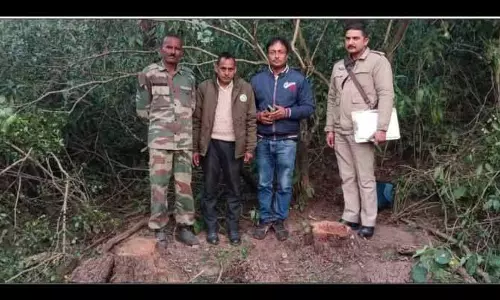 Himachal: वन विभाग ने देहरा रेंज में अवैध कटाई पर कार्रवाई की, 1 गिरफ्तार Himachal: वन विभाग ने देहरा रेंज में अवैध कटाई पर कार्रवाई की, 1 गिरफ्तार