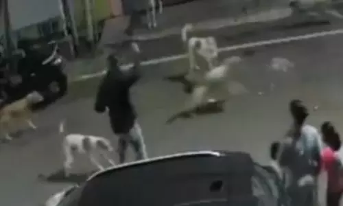 Belagavi में आवारा कुत्तों के हमले के दौरान पिता ने बहादुरी से परिवार को बचाया Belagavi में आवारा कुत्तों के हमले के दौरान पिता ने बहादुरी से परिवार को बचाया