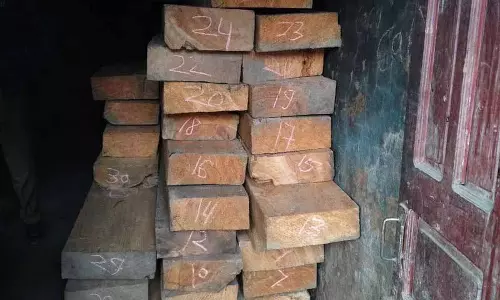 Chamba Saluni में अवैध लकड़ी के 40 स्लीपर जब्त Chamba Saluni में अवैध लकड़ी के 40 स्लीपर जब्त