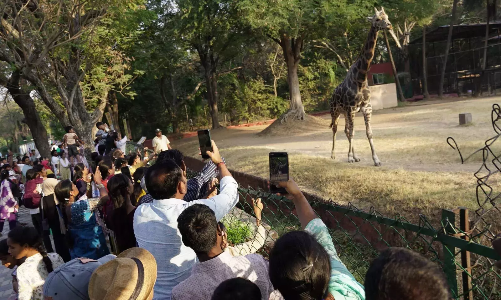 Nehru जूलॉजिकल पार्क में क्रिसमस वीकेंड पर 1 लाख से ज़्यादा विज़िटर आए