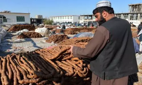 Afghanistan: तोरखम क्रॉसिंग बंद होने के बावजूद नंगरहार अप्रभावित