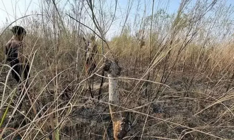 Assam के बुद्धिजीवियों ने आगजनी की घटना के बीच मोलाई कथोनी की सुरक्षा की मांग की