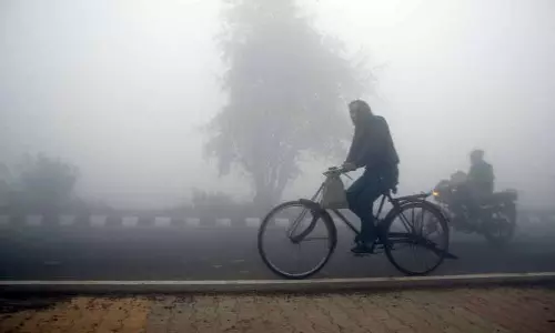 Amritsar: घने कोहरे से जनजीवन अस्त-व्यस्त, शीतलहर तेज