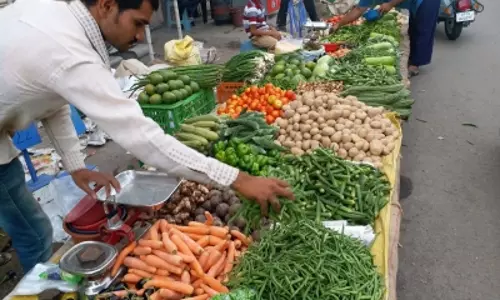 सौराष्ट्र-कच्छ में 2024-25 में 1.5 लाख टन भिंडी का उत्पादन