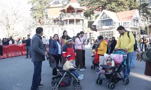 Himachal: बर्फबारी के बिना शिमला की सर्दियों की रौनक खत्म हो रही है, स्थानीय लोग परेशान हैं Himachal: बर्फबारी के बिना शिमला की सर्दियों की रौनक खत्म हो रही है, स्थानीय लोग परेशान हैं