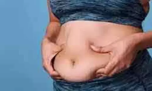 पेट बड़ा है या सिर्फ सूजन? जानें ब्लोटिंग और Belly Fat का अंतर पेट बड़ा है या सिर्फ सूजन? जानें ब्लोटिंग और Belly Fat का अंतर