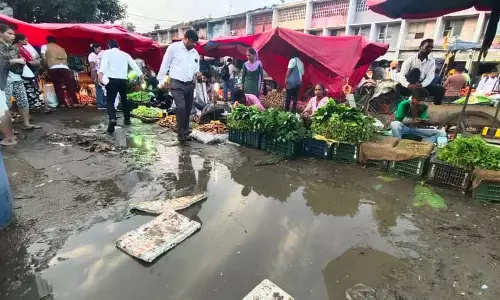 चंडीगढ़ सेक्टर 39 मंडी में SCO साइट्स की नीलामी फिर से शुरू करने के लिए तैयार चंडीगढ़ सेक्टर 39 मंडी में SCO साइट्स की नीलामी फिर से शुरू करने के लिए तैयार