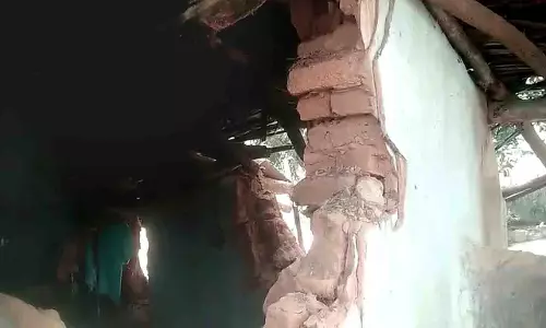 क्योंझर में 2 जंगली हाथियों ने घरों को तोड़ा, फसलों को नुकसान पहुंचाया क्योंझर में 2 जंगली हाथियों ने घरों को तोड़ा, फसलों को नुकसान पहुंचाया