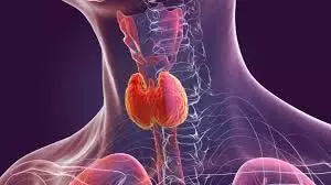Health: सर्दियों में थाइरॉइड के मरीजों को भूलकर भी नहीं खानी चाहिए ये चीजें Health: सर्दियों में थाइरॉइड के मरीजों को भूलकर भी नहीं खानी चाहिए ये चीजें