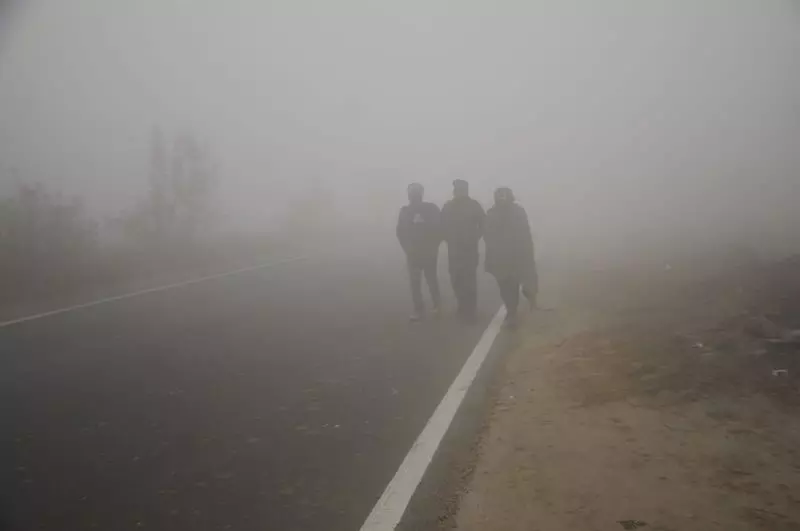 Haryana : घना कोहरा छाया, दिल्ली एयरपोर्ट पर उड़ानें प्रभावित Haryana : घना कोहरा छाया, दिल्ली एयरपोर्ट पर उड़ानें प्रभावित