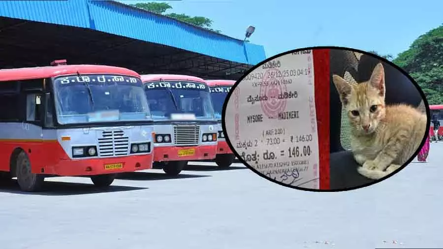मैसूर से मदिकेरी जाने वाली KSRTC बस में एक बिल्ली को भी टिकट मिल गया मैसूर से मदिकेरी जाने वाली KSRTC बस में एक बिल्ली को भी टिकट मिल गया