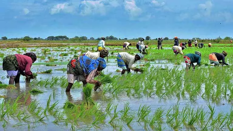 Tamil Nadu: किसानों से फरवरी के आखिर तक मेट्टूर को खुला रखने की अपील Tamil Nadu: किसानों से फरवरी के आखिर तक मेट्टूर को खुला रखने की अपील