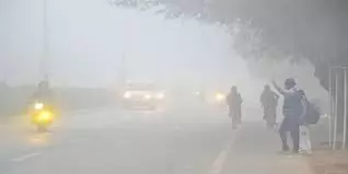 Bareilly: शीतलहर और ठंड ने सामान्य जीवन प्रभावित किया Bareilly: शीतलहर और ठंड ने सामान्य जीवन प्रभावित किया