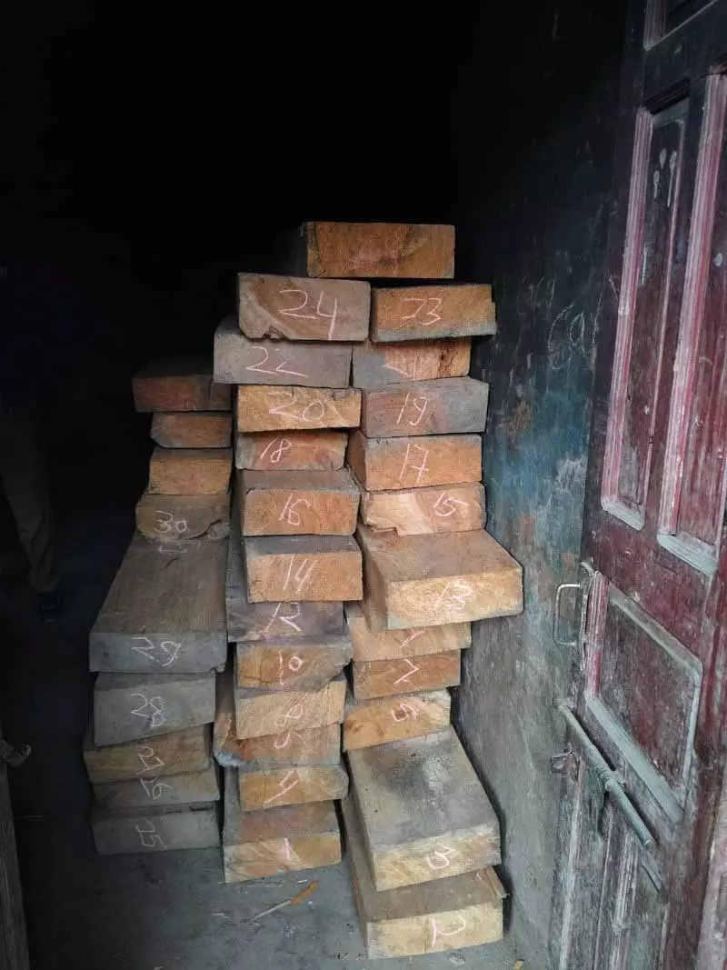 Chamba Saluni में अवैध लकड़ी के 40 स्लीपर जब्त Chamba Saluni में अवैध लकड़ी के 40 स्लीपर जब्त