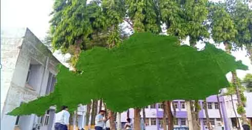 स्क्रैप से बने ओडिशा के नक्शे को इंडिया बुक ऑफ़ रिकॉर्ड्स में जगह मिली स्क्रैप से बने ओडिशा के नक्शे को इंडिया बुक ऑफ़ रिकॉर्ड्स में जगह मिली