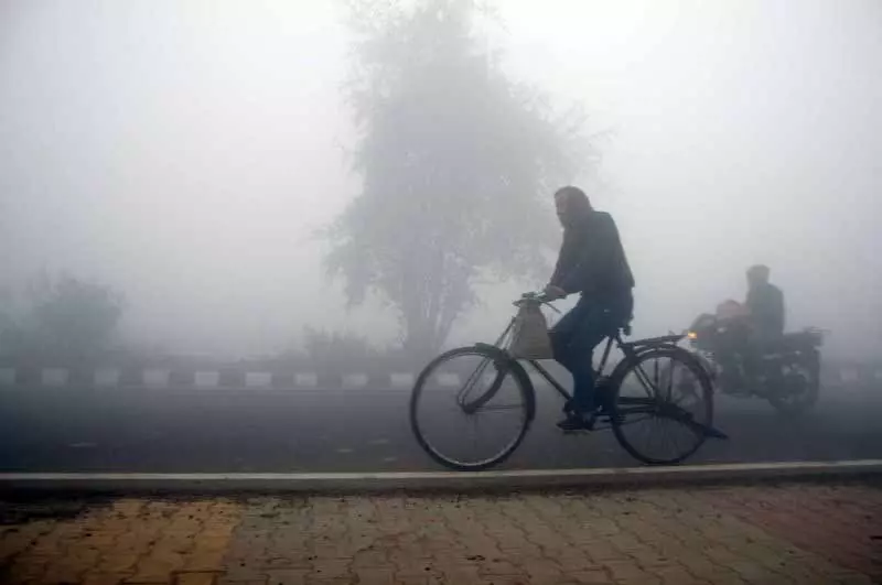 Amritsar: घने कोहरे से जनजीवन अस्त-व्यस्त, शीतलहर तेज Amritsar: घने कोहरे से जनजीवन अस्त-व्यस्त, शीतलहर तेज
