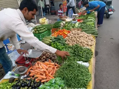 सौराष्ट्र-कच्छ में 2024-25 में 1.5 लाख टन भिंडी का उत्पादन सौराष्ट्र-कच्छ में 2024-25 में 1.5 लाख टन भिंडी का उत्पादन