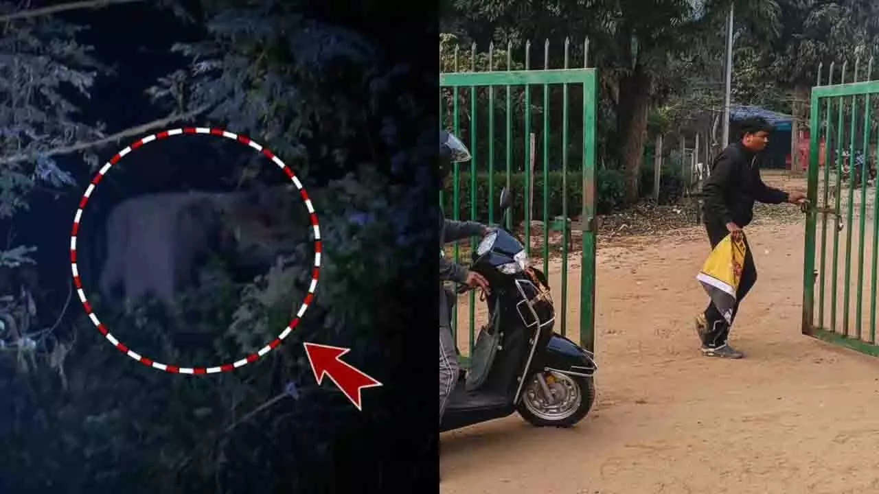 Bhubaneswar: शिखरचंडी पहाड़ी पर्यटकों के लिए फिर से खोल दी गई Bhubaneswar: शिखरचंडी पहाड़ी पर्यटकों के लिए फिर से खोल दी गई