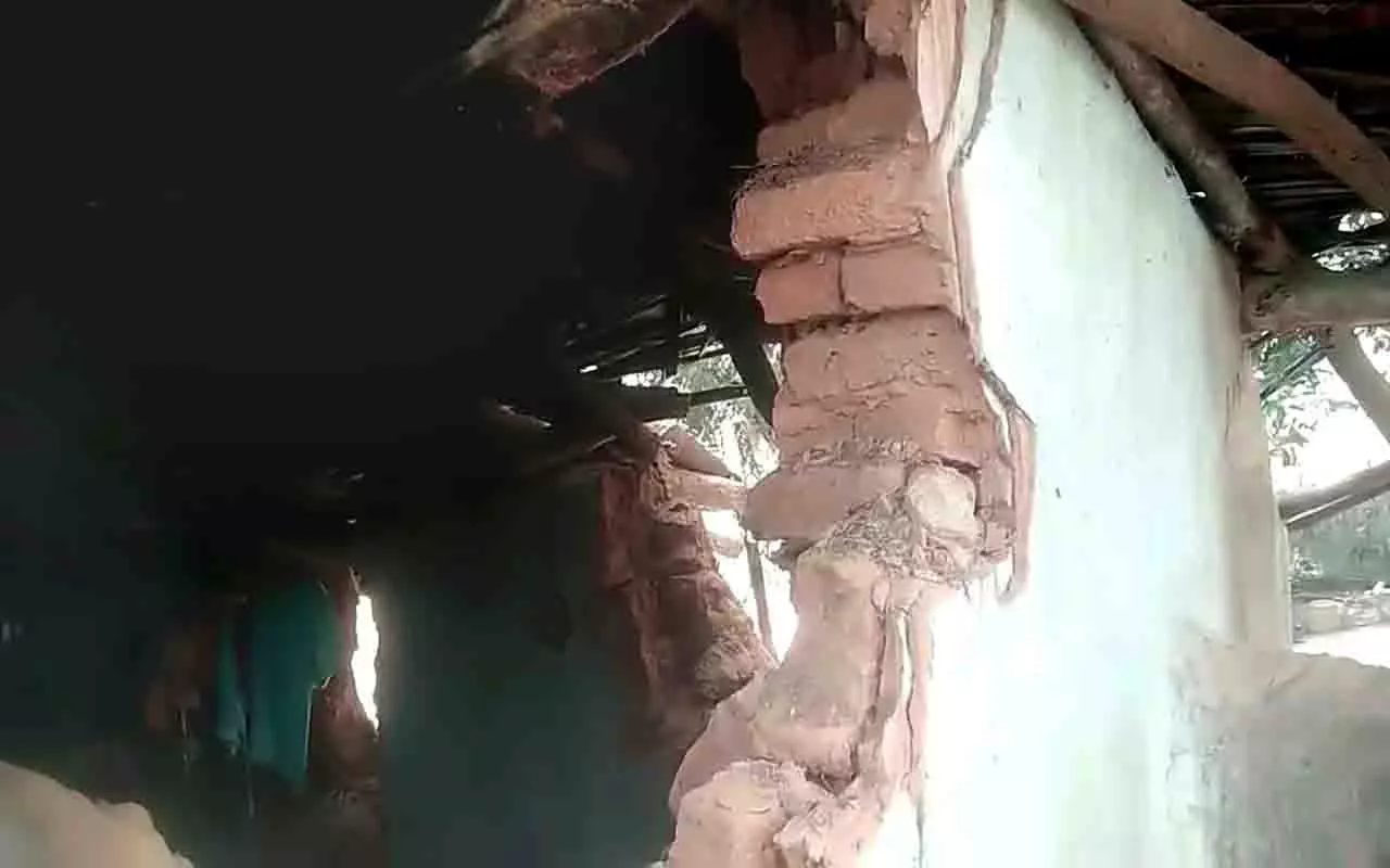 क्योंझर में 2 जंगली हाथियों ने घरों को तोड़ा, फसलों को नुकसान पहुंचाया क्योंझर में 2 जंगली हाथियों ने घरों को तोड़ा, फसलों को नुकसान पहुंचाया