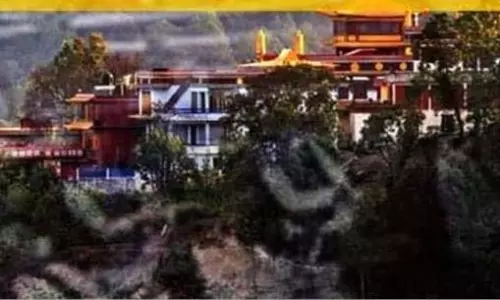 Solan: रस्साकशी के दौरान रस्सी टूटने से घायल हुईं 15 महिलाएं Solan: रस्साकशी के दौरान रस्सी टूटने से घायल हुईं 15 महिलाएं