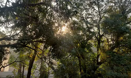 रायपुर : तापमान 10 डिग्री के नीचे गिरा, आज फिर ठंड बढ़ी