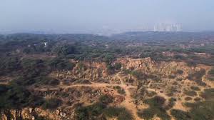 Haryana कांग्रेस ने अरावली आदेश पर सुप्रीम कोर्ट की रोक का स्वागत किया