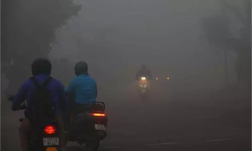 Punjab Weather: 2 जनवरी तक शीत लहर का Alert