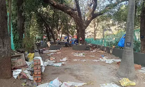 Mumbai : CRZ-प्रोटेक्टेड गार्डन से पेड़ हटाए जाने से बांद्रा के लोग परेशान Mumbai : CRZ-प्रोटेक्टेड गार्डन से पेड़ हटाए जाने से बांद्रा के लोग परेशान